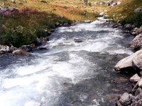 Kaçkarlar-Altıparmak deresi
