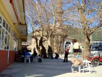 DSC03230