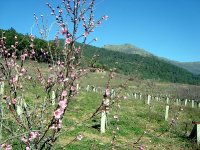 DSC03240