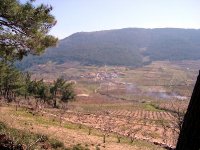 DSC03244