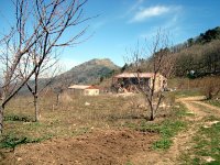 DSC03269