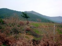 Kamberler Köyü