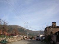 DSC07930