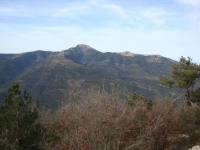 DSC07963