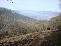 DSC07966