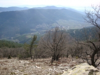 DSC07971