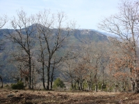 DSC07990