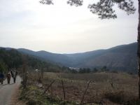 DSC07996