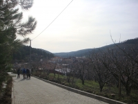 DSC07997