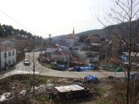 DSC07998