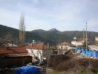 DSC07999