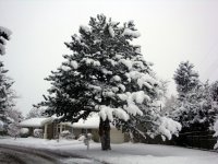 DSC05530