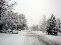 DSC05534