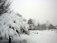 DSC05537