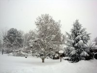 DSC05538
