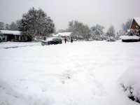 DSC05541