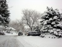 DSC05546