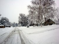 DSC05565
