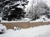 DSC05567