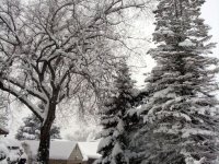 DSC05574
