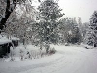 DSC05579