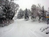 DSC05580