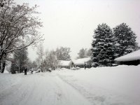 DSC05582