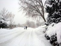 DSC05585