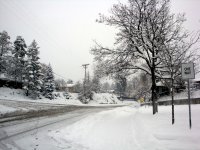 DSC05591