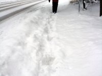 DSC05598