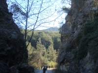 DSC08010