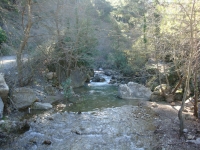 DSC08020