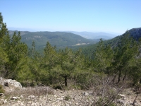 DSC08050