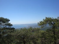 DSC08094