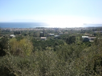 DSC08100