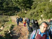 13-2006_1224borkaragol0040