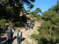 14-2006_1224borkaragol0044