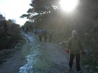 17-2006_1224borkaragol0052