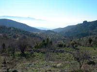 21-2006_1224borkaragol0067
