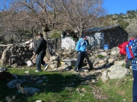 22-2006_1224borkaragol0070