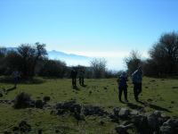 23-2006_1224borkaragol0079