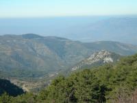 26-2006_1224borkaragol0083