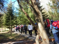 27-27-DSCN0357