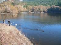 28-2006_1224borkaragol0086