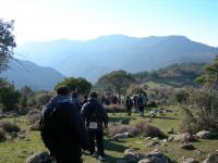 35-2006_1224borkaragol0098