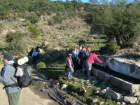 36-2006_1224borkaragol0101