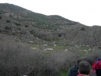 38-2006_1224borkaragol0110