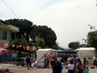 DSC02454