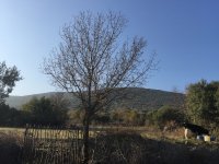 img_0552