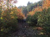 img_0557